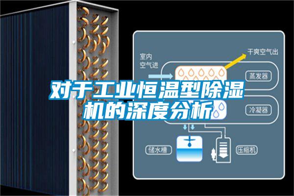 对于工业恒温型草莓视频APP在线观看的深度分析