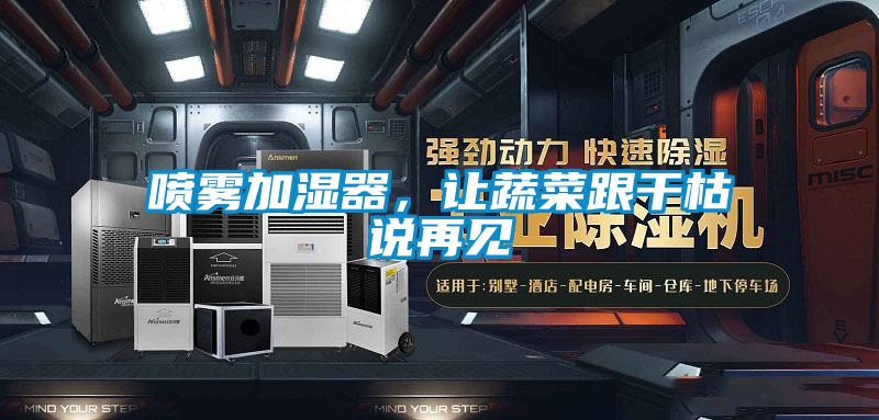 喷雾加湿器，让蔬菜跟干枯说再见