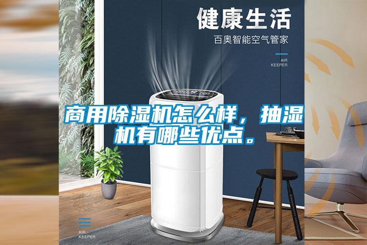 商用草莓视频APP在线观看怎么样，抽湿机有哪些优点。