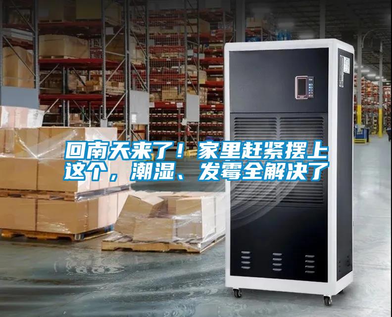 回南天来了！家里赶紧摆上这个，潮湿、发霉全解决了