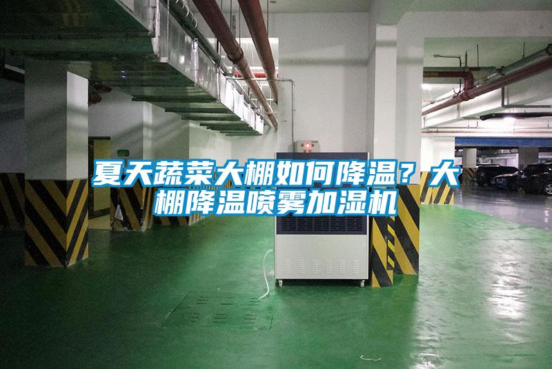 夏天蔬菜大棚如何降温？大棚降温喷雾加湿机