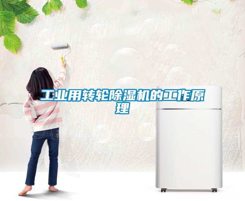工业用转轮草莓视频APP在线观看的工作原理