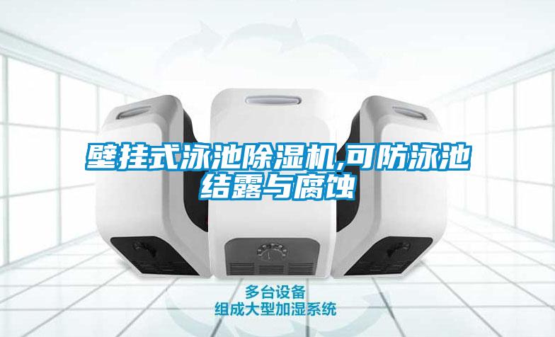 壁挂式泳池草莓视频APP在线观看,可防泳池结露与腐蚀
