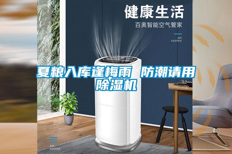 夏粮入库逢梅雨 防潮请用草莓视频APP在线观看