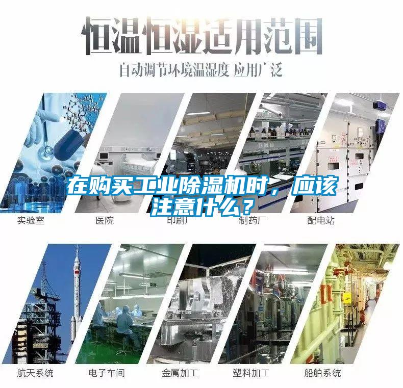 在购买工业草莓视频APP在线观看时，应该注意什么？