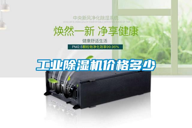工业草莓视频APP在线观看价格多少