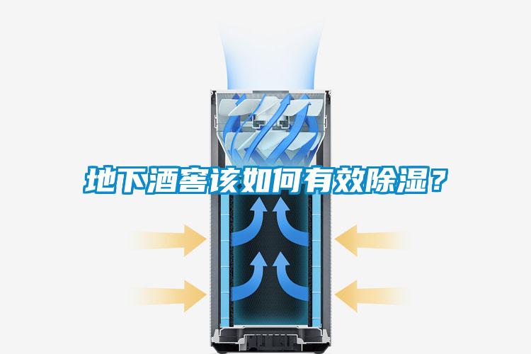 地下酒窖该如何有效除湿？