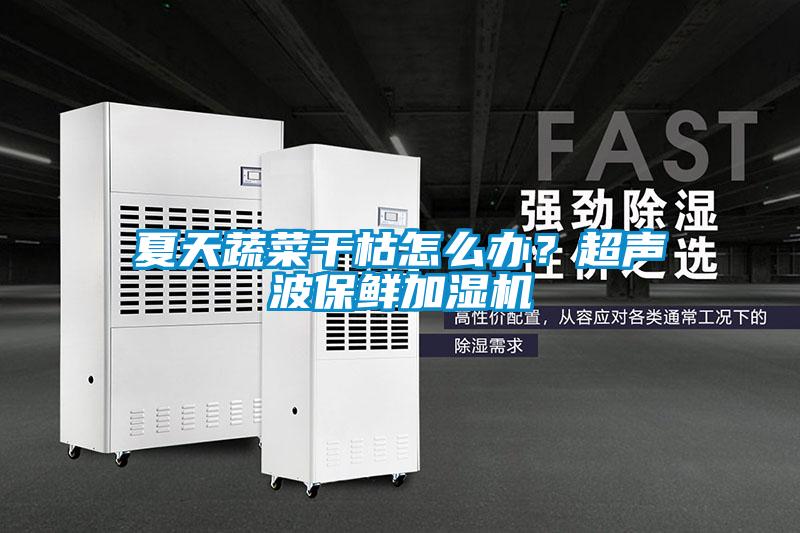 夏天蔬菜干枯怎么办？超声波保鲜加湿机