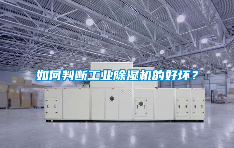 如何判断工业草莓视频APP在线观看的好坏？