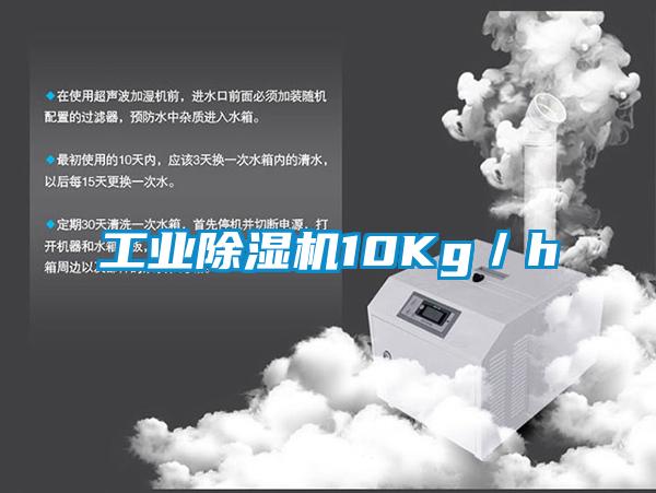 工业草莓视频APP在线观看10Kg／h
