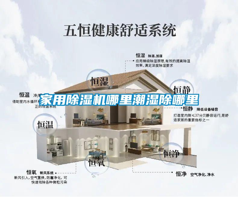 家用草莓视频APP在线观看哪里潮湿除哪里