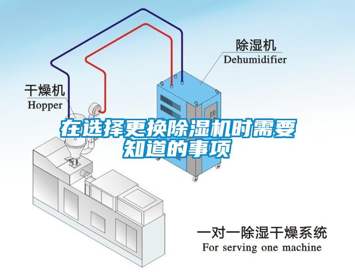 在选择更换草莓视频APP在线观看时需要知道的事项