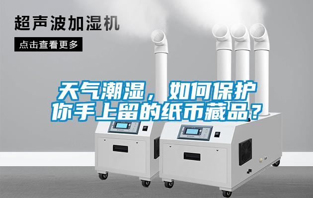 天气潮湿，如何保护你手上留的纸币藏品？