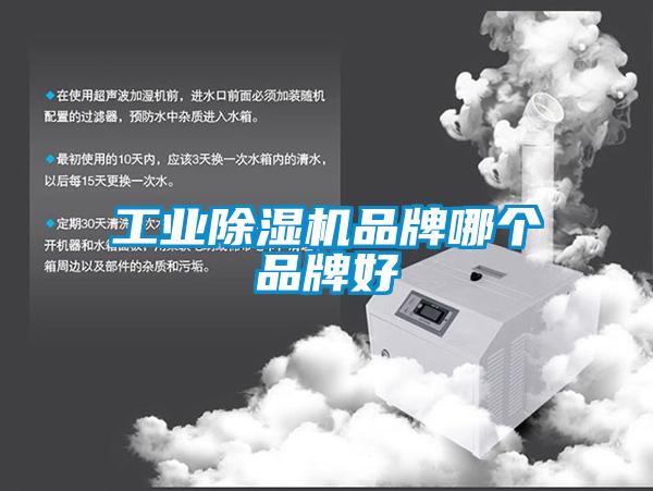 工业草莓视频APP在线观看品牌哪个品牌好