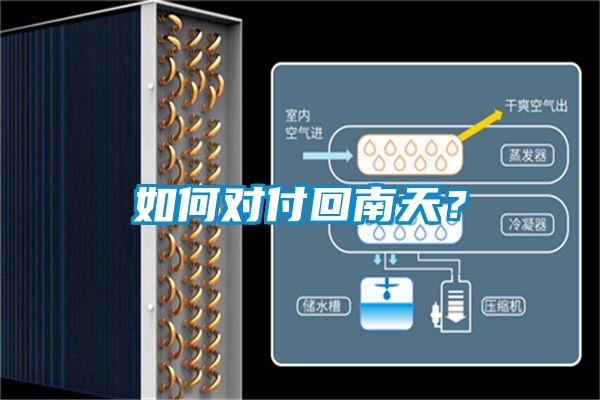 如何对付回南天？