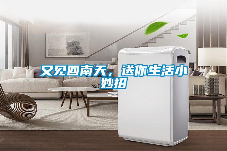 又见回南天，送你生活小妙招