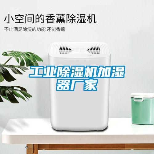 工业草莓视频APP在线观看加湿器厂家