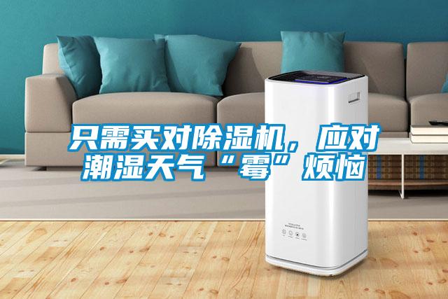 只需买对草莓视频APP在线观看，应对潮湿天气“霉”烦恼