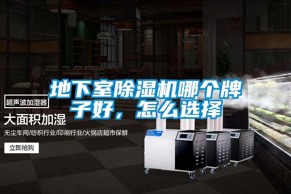 地下室草莓视频APP在线观看哪个牌子好，怎么选择