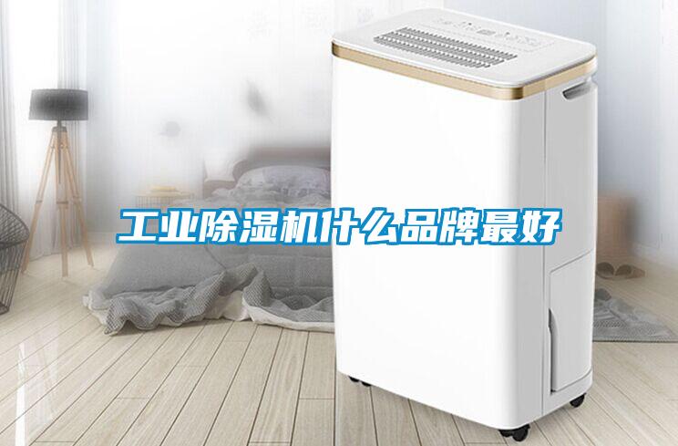 工业草莓视频APP在线观看什么品牌最好