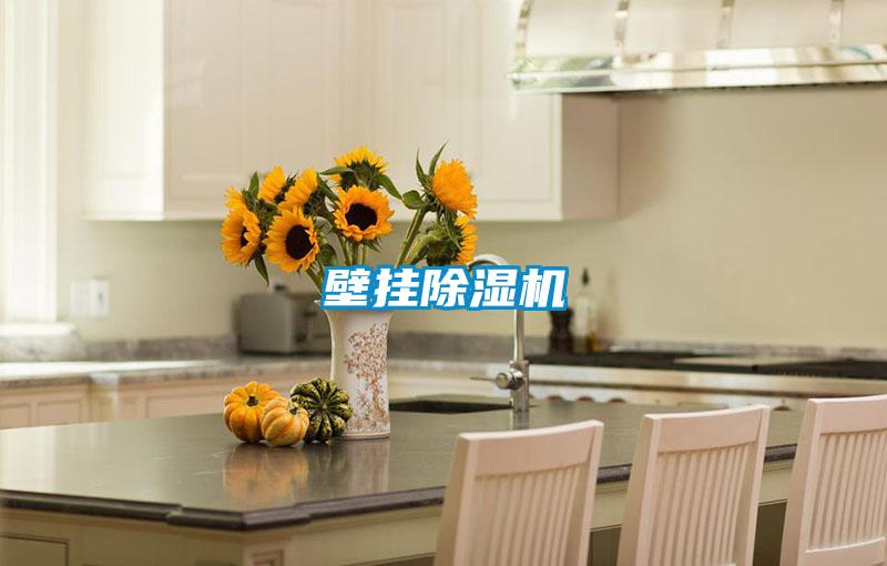 壁挂草莓视频APP在线观看