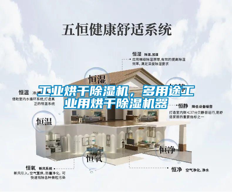 工业烘干草莓视频APP在线观看，多用途工业用烘干草莓视频APP在线观看器