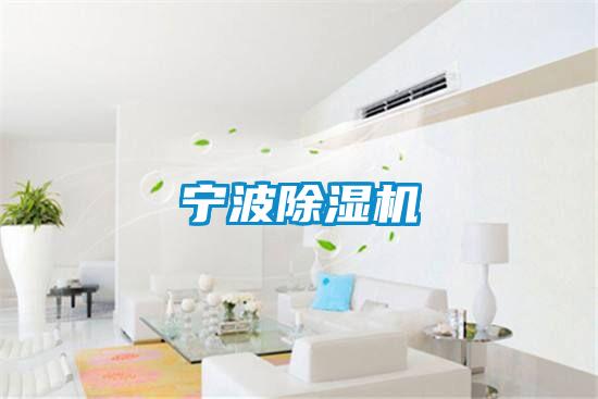 宁波草莓视频APP在线观看