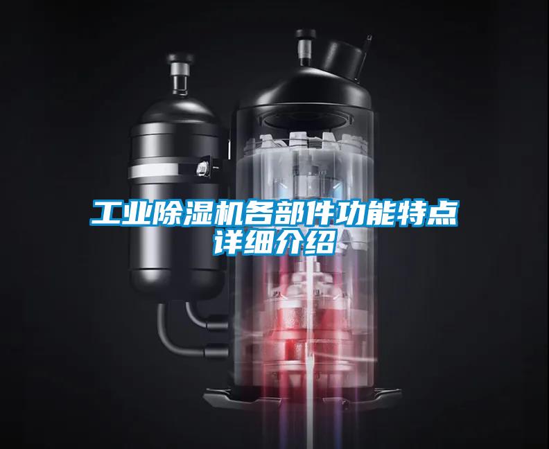 工业草莓视频APP在线观看各部件功能特点详细介绍