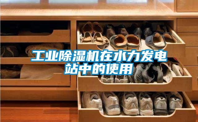 工业草莓视频APP在线观看在水力发电站中的使用