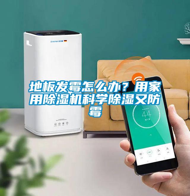 地板发霉怎么办？用家用草莓视频APP在线观看科学除湿又防霉