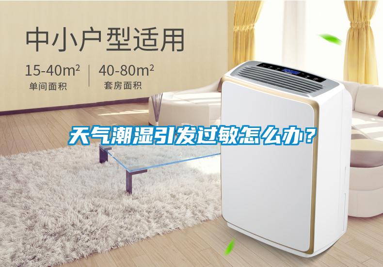 天气潮湿引发过敏怎么办？
