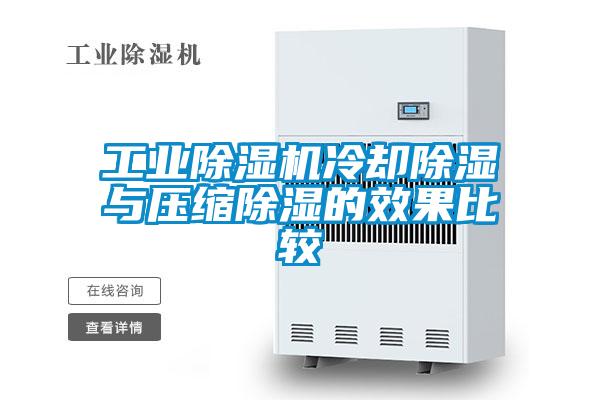 工业草莓视频APP在线观看冷却除湿与压缩除湿的效果比较