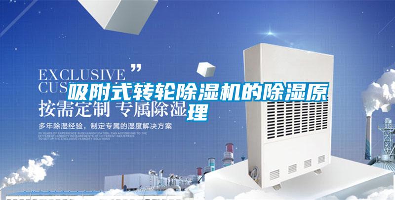 吸附式转轮草莓视频APP在线观看的除湿原理