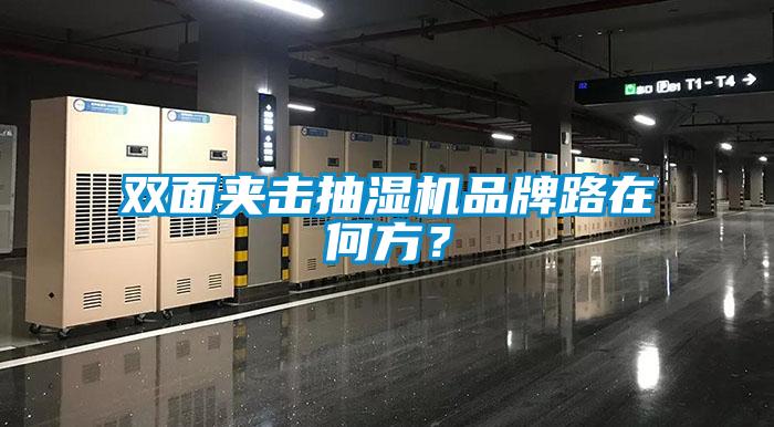 双面夹击抽湿机品牌路在何方？
