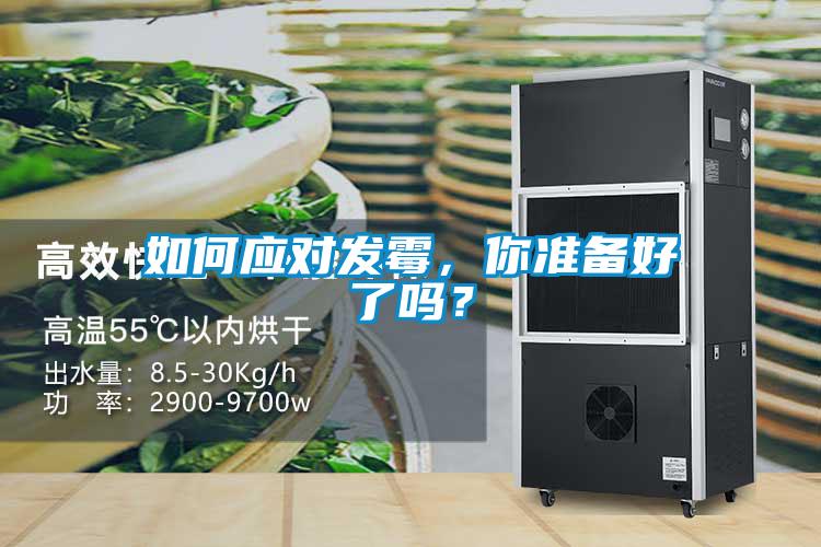 如何应对发霉，你准备好了吗？
