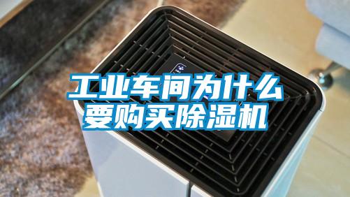 工业车间为什么要购买草莓视频APP在线观看
