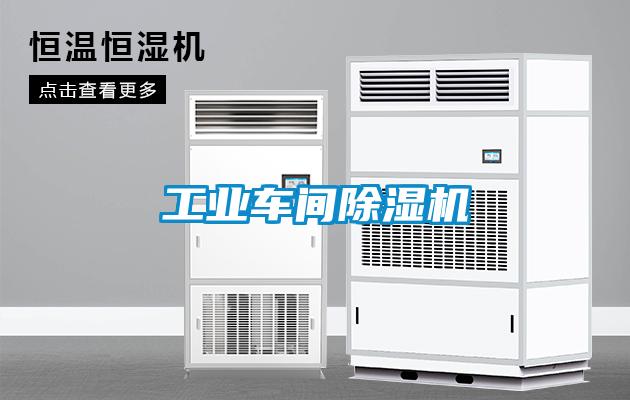 工业车间草莓视频APP在线观看