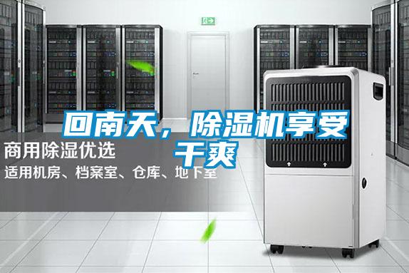 回南天，草莓视频APP在线观看享受干爽