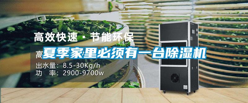 夏季家里必须有一台草莓视频APP在线观看