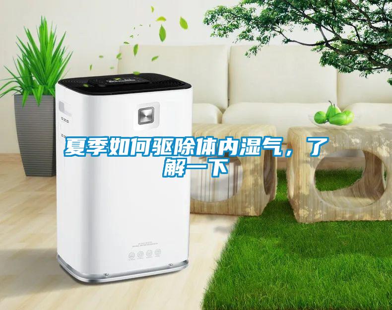 夏季如何驱除体内湿气，了解一下