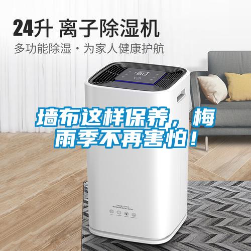 墙布这样保养，梅雨季不再害怕！