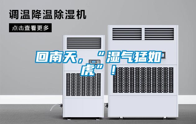 回南天，“湿气猛如虎”！