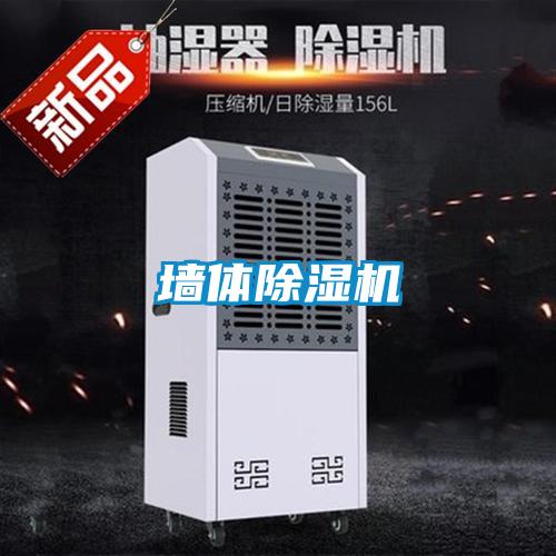墙体草莓视频APP在线观看