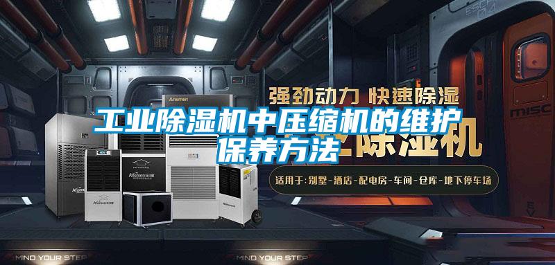 工业草莓视频APP在线观看中压缩机的维护保养方法