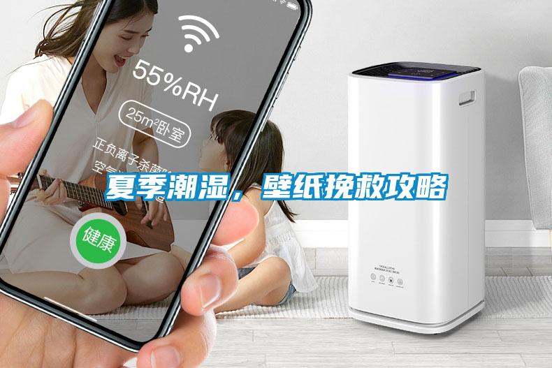 夏季潮湿，壁纸挽救攻略