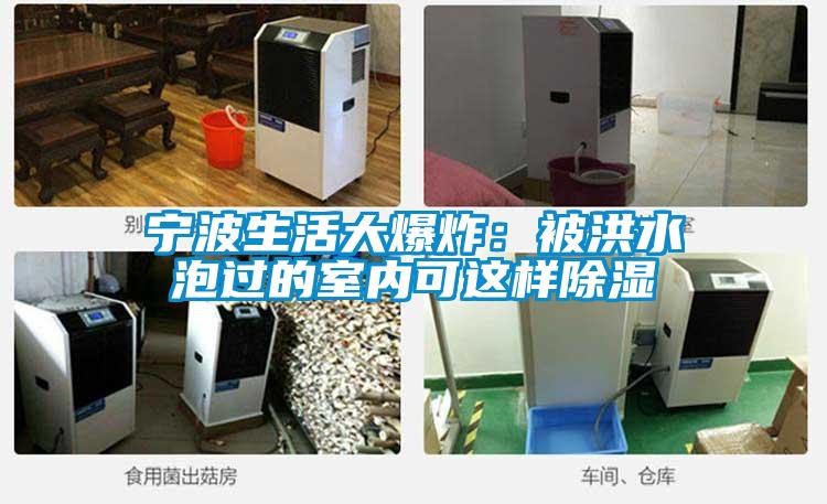 宁波生活大爆炸：被洪水泡过的室内可这样除湿