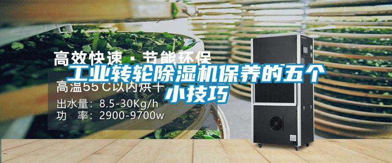 工业转轮草莓视频APP在线观看保养的五个小技巧