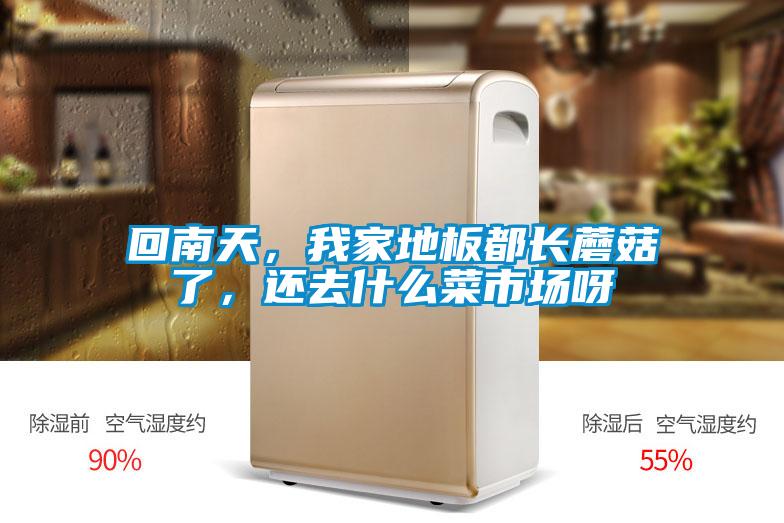 回南天，我家地板都长蘑菇了，还去什么菜市场呀