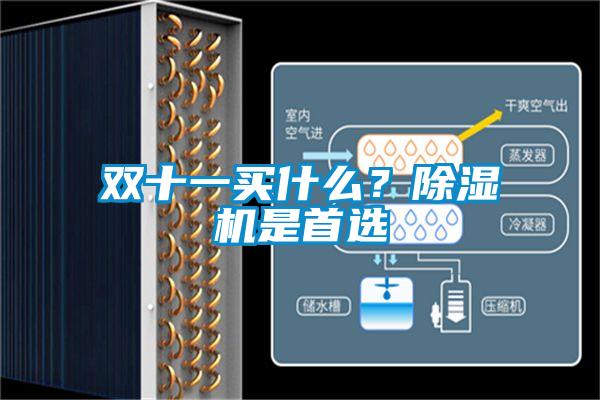 双十一买什么？草莓视频APP在线观看是首选