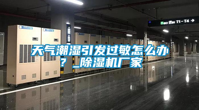 天气潮湿引发过敏怎么办？_草莓视频APP在线观看厂家